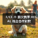 F/CE.® 首次携手 REGAL 推出合作鞋款(图2) F/CE.® 首次携手 REGAL 推出合作鞋款(图2)