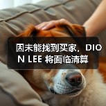 因未能找到买家，DION LEE 将面临清算（图3）