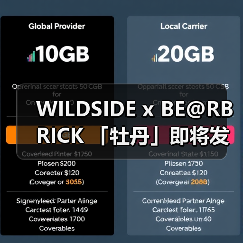 WILDSIDE x BE@RBRICK 「牡丹」即将发售（图3）