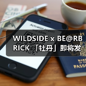 WILDSIDE x BE@RBRICK 「牡丹」即将发售（图2）