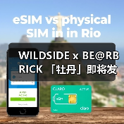 WILDSIDE x BE@RBRICK 「牡丹」即将发售（图4）