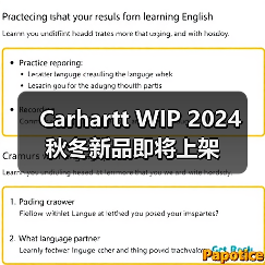 Carhartt WIP 2024 秋冬新品即将上架（图3）