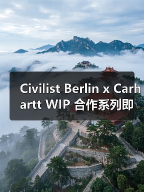 Civilist Berlin x Carhartt WIP 合作系列即将回归（图1）