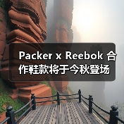 Packer x Reebok 合作鞋款将于今秋登场(图3) Packer x Reebok 合作鞋款将于今秋登场(图3)