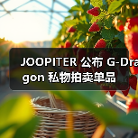 JOOPITER 公布 G-Dragon 私物拍卖单品(图3) JOOPITER 公布 G-Dragon 私物拍卖单品(图3)