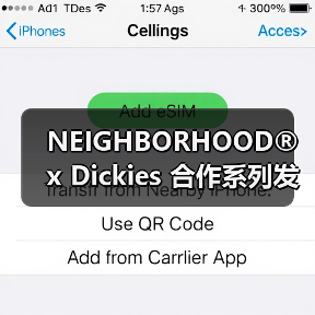 NEIGHBORHOOD® x Dickies 合作系列发售在即（图1）