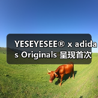 YESEYESEE® x adidas Originals 呈现首次合作(图4) YESEYESEE® x adidas Originals 呈现首次合作(图4)