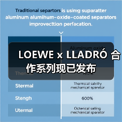 LOEWE x LLADRÓ 合作系列现已发布（图2）