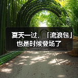 夏天一过，「流浪包」也是时候登场了（图3）