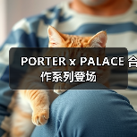 PORTER x PALACE 合作系列登场（图2）