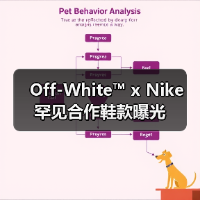 Off-White™ x Nike 罕见合作鞋款曝光（图1）