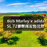 Bob Marley x adidas SL 72更新版发售信息（图1）