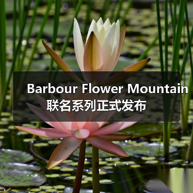 Barbour Flower Mountain 联名系列正式发布（图1）